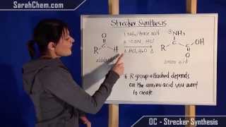 Strecker Synthesis [upl. by Dorfman648]