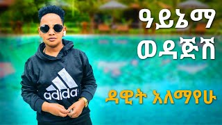 Ethiopian music quotዓይኔማ ወዳጅሽquot ዳዊት አለማየሁ Dawit Alemayehu quotAynema wedajshquot live 2020 [upl. by Atiloj]