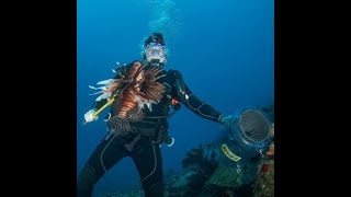 We Speared Over 300 Lionfish in One Day UPDATE OVER 2 MILLION VIEWS [upl. by Enialehs]