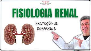 REGULAÇÃO DE POTÁSSIO PELA VIA RENAL [upl. by Ainav]