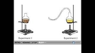 Pasteurs experiment [upl. by Megen465]