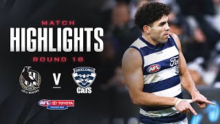 Collingwood v Geelong Highlights  Round 18 2024  AFL [upl. by Georgy785]