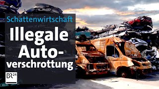 360000 verschwundene Autos Das Geschäft mit der Autoverschrottung  Die Story  Kontrovers  BR24 [upl. by Ssidnak]