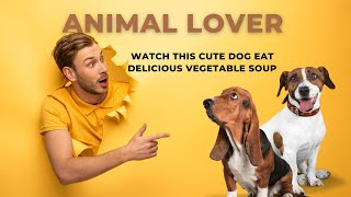 Watch this cute dog eat delicious vegetable soup  Animal Lover  Pet Care Channel dog pets [upl. by Pacifa]