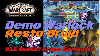 Demo Warlock still OWNS 3v3 amp 2v2  915 WoW Shadowlands Arena [upl. by Angelle487]