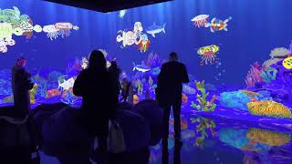 3min in Paris【3分パリ散歩】チームラボのお絵描き水族館、パリの百貨店ボンマルシェにて [upl. by Minetta]