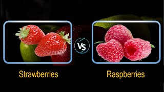 Strawberries vs Raspberries Comparison [upl. by Anirav]