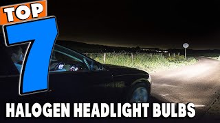 Top 7 Best Halogen Headlight Bulbs Review in 2024 [upl. by Hailey345]