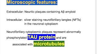 Pathology of Alzheimers Disease [upl. by Ahsats699]