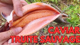 Comment faire du caviar de truite sauvage [upl. by Lougheed]