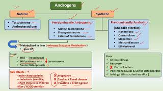 Androgens amp AntiAndrogens  Drugs  uses [upl. by Wilona128]