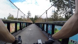 Los Gatos Creek Trail to Lexington Reservoir Biking [upl. by Nelak629]