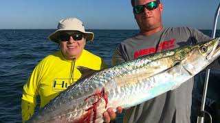 Clearwater Beach Fishing Charters  Capt Jim Bennett  TrophyTrips [upl. by Alleroif]