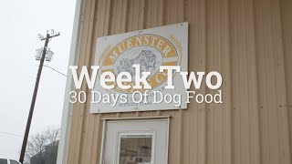 30 Days of Dog Food with Mitch  Week 2 Recap  Muenster [upl. by Nywra286]