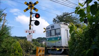 秩父鉄道 大野原No6踏切 [upl. by Ahsak]