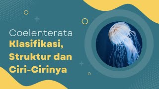 Coelenterata Pengertian CiriCiri dan Klasifikasinya [upl. by Battat328]