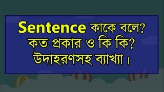 Sentence কাকে বলে Sentence কত প্রকার ও কি কি উদাহরণসহ ব্যাখ্যা  Grammar HUB [upl. by Siouxie747]