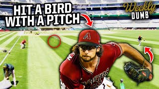 Diamondbacks pitcher hits a bird with a pitch  Weekly Dumb [upl. by Jeanine]