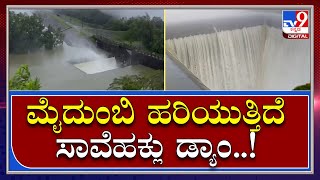 Savehaklu Dam ಹೊಸನಗರ ತಾಲೂಕಿನ ಸಾವೆಹಕ್ಲು ಡ್ಯಾಂ ಸೌಂದರ್ಯ ನೋಡಿ  Tv9 Kannada [upl. by Whitten]