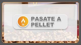 PROMOCION PELLET DESCUENTO [upl. by Putnem]