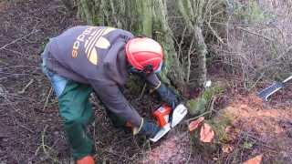 Hedge laying [upl. by Power]