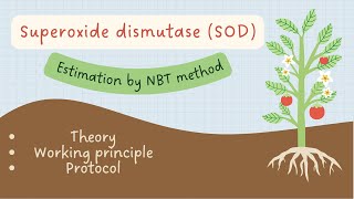 In vitro Superoxide Dismutase determination in plants by Nitro blue tetrazolium NBT method [upl. by Mahla302]