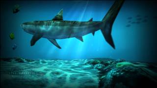 Shark Pack For Ocean HD Live Wallpaper [upl. by Weasner]