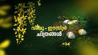 Vishu  Easter Special I Vishu  Easter Special Movies I Promo [upl. by Ocramed]