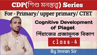 পিঁয়াজের প্রজ্ঞামূলক বিকাশ Piagets Cognitive Development Class 4  CDP series [upl. by Rj]