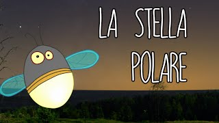 Cerchiamo la Stella Polare [upl. by Aitat]