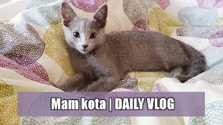 Mam kota  Daily Vlog [upl. by Itsrejk534]