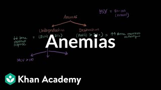 Microcytic normocytic and macrocytic anemias  NCLEXRN  Khan Academy [upl. by Yrahk269]