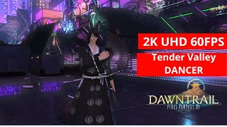 FFXIV Dawntrail Tender Valley DANCER GAMEPLAY 72 2kMAX PRESET [upl. by Ciel]