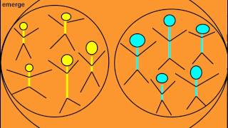 Functional Subgrouping The core method of SystemsCentered Training SCT [upl. by Teri333]