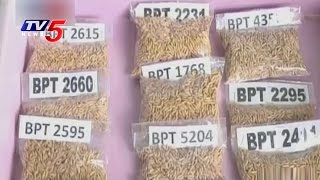 New Paddy Varieties For Kharif Season  Bapatla Rice Research Station  Annapurna  TV5 News [upl. by Rossing]