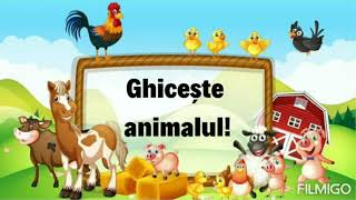 quotGhicește animalulquot  animale domestice [upl. by Ellirpa]