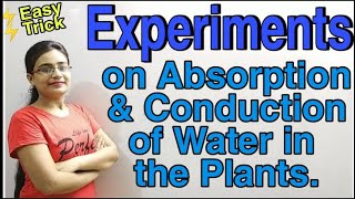 DG Pathshala Experiment on Absorption amp Conduction of Water in Plants Class10 ICSE Biology [upl. by Carnay844]