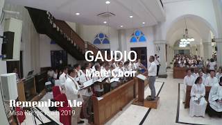 Deborah Govenor  Remember Me Terj Bahasa Indonesia  Gaudio Male Choir [upl. by Sirtemed720]