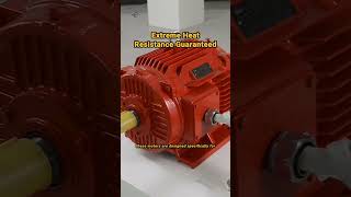 Maximize Safety with HSPs FireTech Motors [upl. by Francis810]