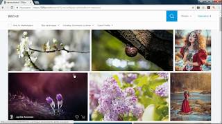 Как скачать с 500px фотоизображение [upl. by Eiznik]