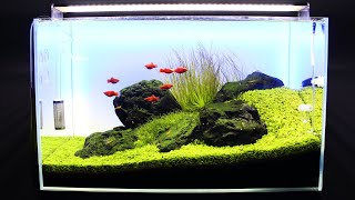 FINAL CHAPTER  Classic Iwagumi Aquascape  Planted Aquarium [upl. by Ias]