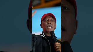 quotDuduzane and Duduzile Zuma are Mozambicanquot  Malema [upl. by Torrlow61]