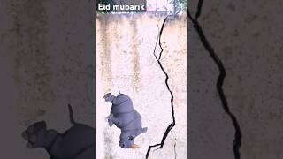 Bakra eid❤️islamicvideo allahhuakabar shortsfeed [upl. by Heisel24]