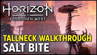 Tallneck Salt Bite Walkthrough  Horizon Forbidden West [upl. by Rosanne]