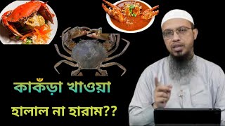 কাকড়া খাওয়া হালাল না হারাম kakra khawa halal na haram শায়খ আহমাদুল্লাহ। [upl. by Nnovahs619]