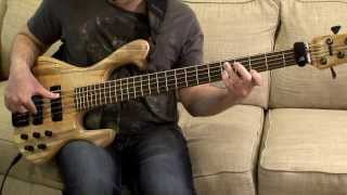 Skjold Slayer Bass Pickup Tone Demo [upl. by Rapsag]