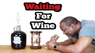 Waiting For Wine [upl. by Brownley]