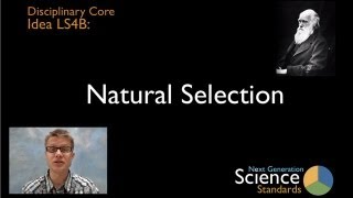 LS4B  Natural Selection [upl. by Lise]