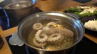 Boiling Live Baby Octopus [upl. by Rubie]