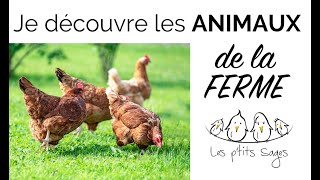 Animaux 1 Je découvre les animaux de la FERME [upl. by Prebo]